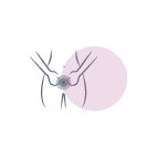 ginecologia organica